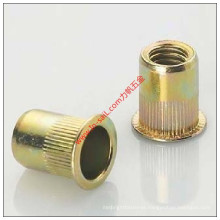 Auto Spare Parts Flat Head Knurled Rivet Nut with Hole